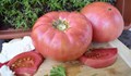 Ще забрани ли Брюксел българския домат?
