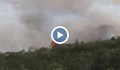 Два пожара бушуват в Бургаско