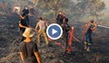 Огнената стихия в Гърция е най-големият пожар, възниквал на територията на Европа