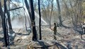 Пожарът край Свиленград е овладян