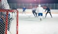 17-годишен хокеист почина след ухапване от кърлеж