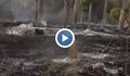 Пожарът в Хасковско гори на фронт от 15 километра