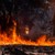 Горските пожари възникват поради човешка небрежност и промени в климата