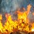 Голям пожар бушува в Сакар планина