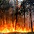 Голям пожар бушува между Чепеларе и село Хвойна