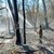 Пожарът край Свиленград е овладян