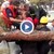 Дърво падна върху спешен медик в Турция