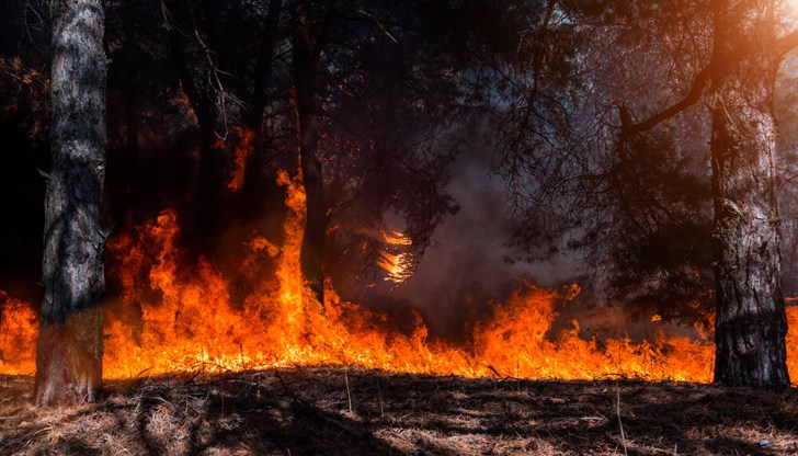 Според учените месец юли 2023 г. е най-горещият месец на Земята от около 120 000 години Според учените месец юли 2023 г. е най-горещият месец на Земята от около 120 000 години