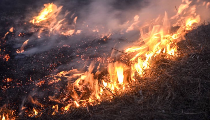 Пожарите в Гърция взеха 20 жертви за два дни