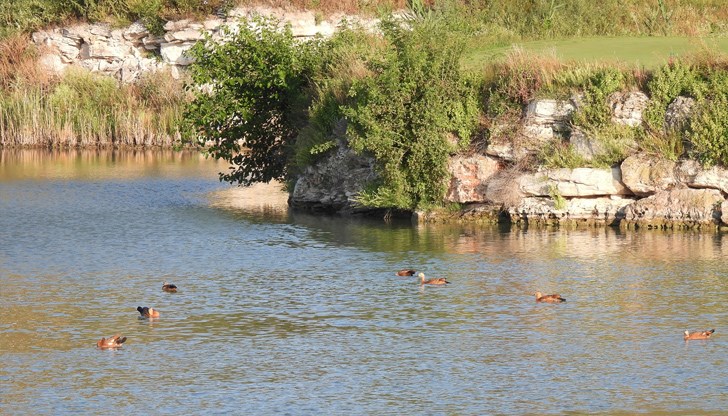 Водните количества ще бъдат под праговете за внимание