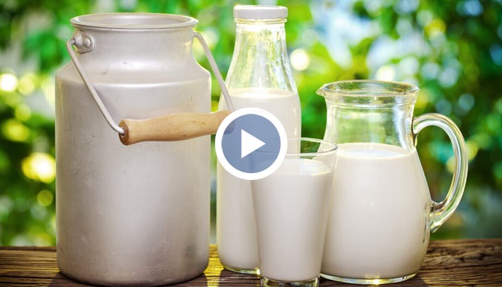 Изкупната цена на млякото е много ниска, а тази за крайния потребител не спада