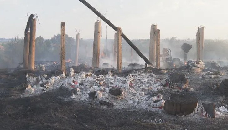 Засегнати са 10 хиляди декара гора между 4 села Засегнати са 10 хиляди декара гора между 4 села