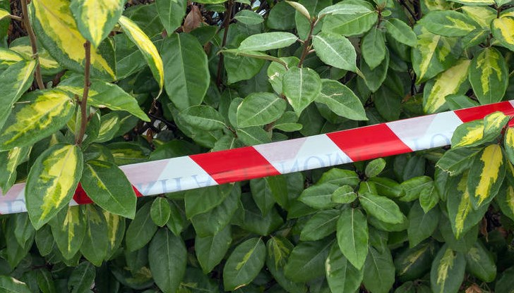 Твърди се, че няма връзка между двамата убити а само извършителят е един и същ Твърди се, че няма връзка между двамата убити а само извършителят е един и същ