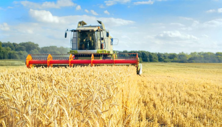 Земеделските стопани, пострадали от вноса на украинско зърно, могат да кандидатстват за подпомагане до 22 август