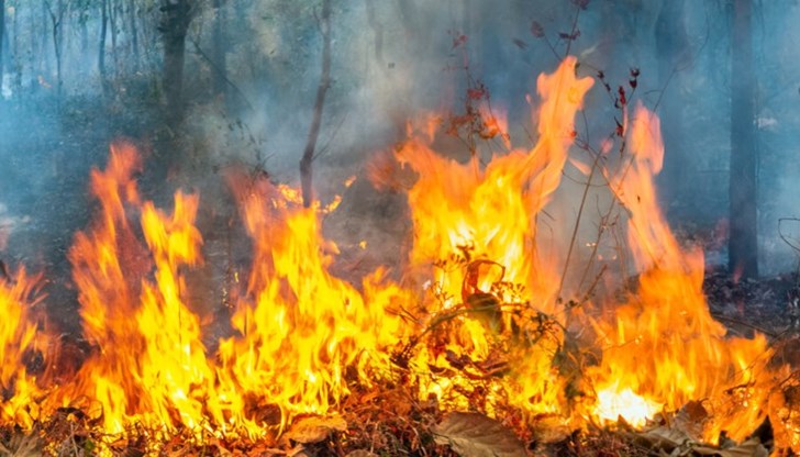 Продължава да гори пожарът в Свиленградско