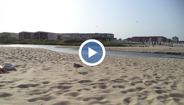 Това се случва пред погледите на десетки плажуващи