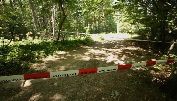 Стрелбата е станала от неголямо разстояние Стрелбата е станала от неголямо разстояние