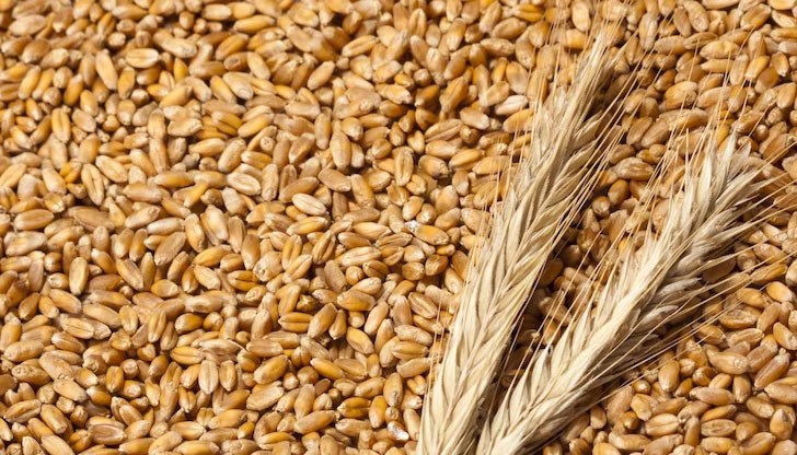 В плана се предлага до октомври да се изнасят по река Дунав четири милиона тона зърно на месец