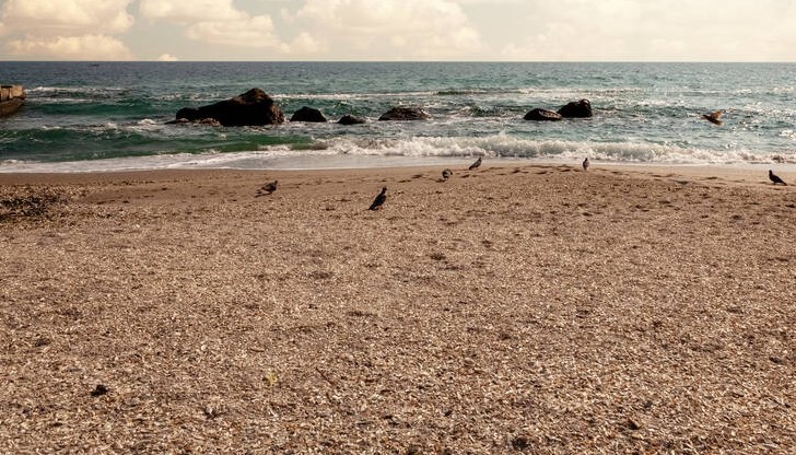 Причината - страх от високи глоби и отнемане на лицензи Причината - страх от високи глоби и отнемане на лицензи