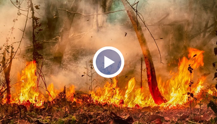 Четирима души са пострадали