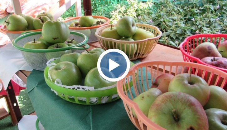 Местните кулинарни майсторки бяха приготвили 33 различни ябълкови сладкиша