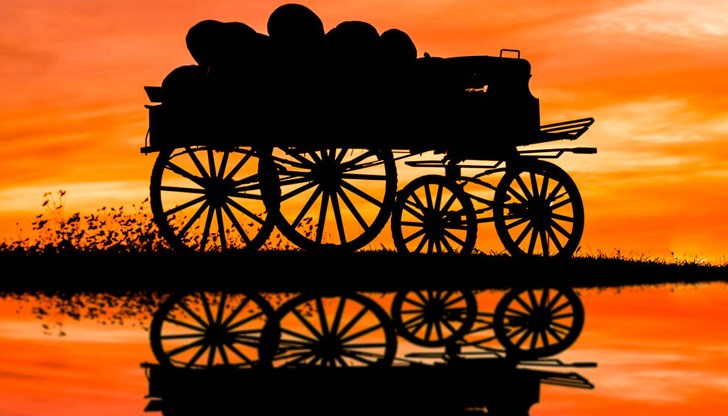 Атракцията на събитието е разходка с файтон из селото Атракцията на събитието е разходка с файтон из селото