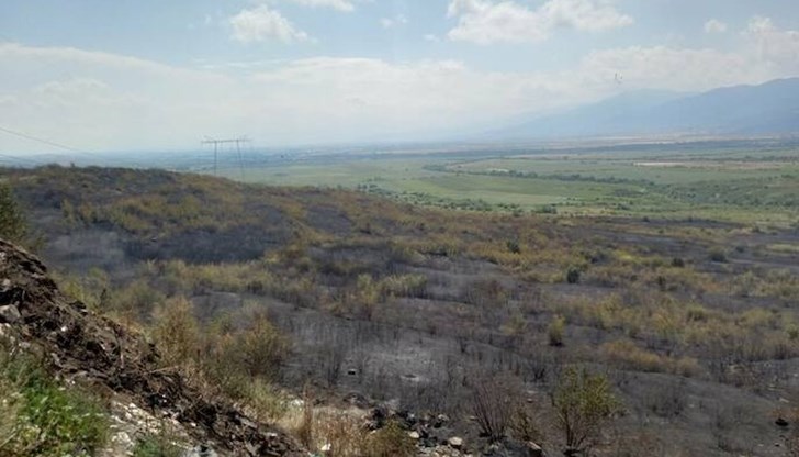 Засегнати са и 50 декара горски масив