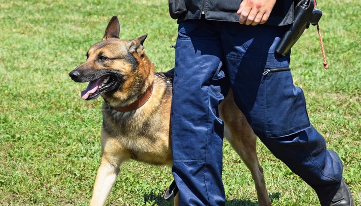Мъжът е намерен от следово куче Мъжът е намерен от следово куче