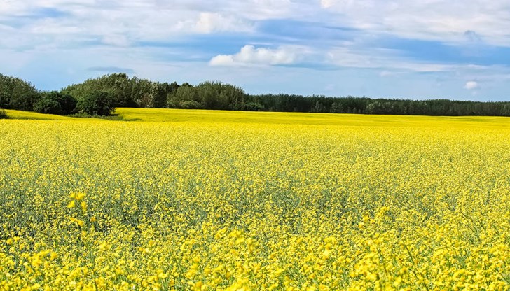 Територията, върху която се упражнява контрол е държавна собственост Територията, върху която се упражнява контрол е държавна собственост