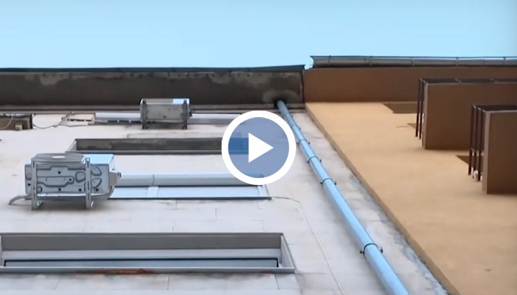 По чудо от по-тежък инцидент се е разминало дете, което е вървяло зад потърпевшата Василена