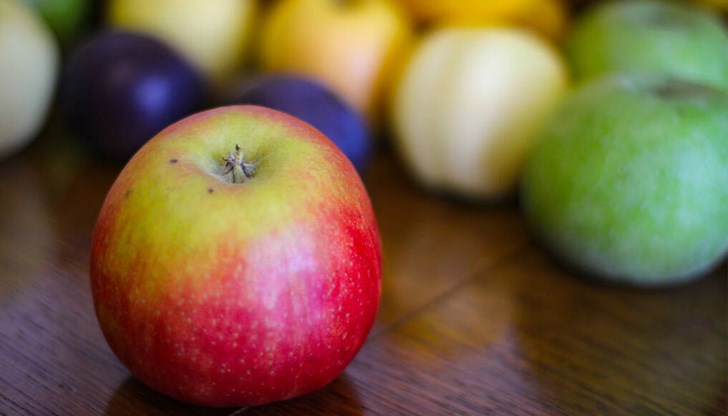 Тонове овощна продукция може да останат неприбрани