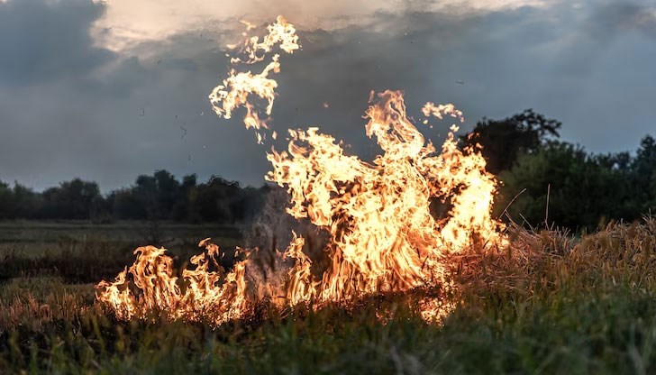 Огънят бушува между селата Първомай и Кавракирово