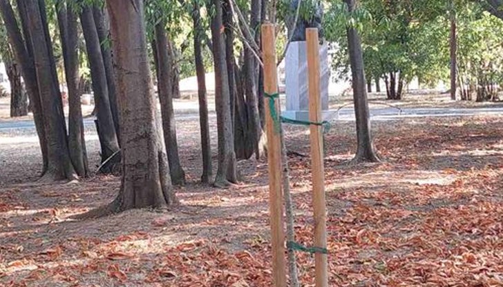 Доброволци се организират с еко инициатива за фиданките в Парка на Възрожденците