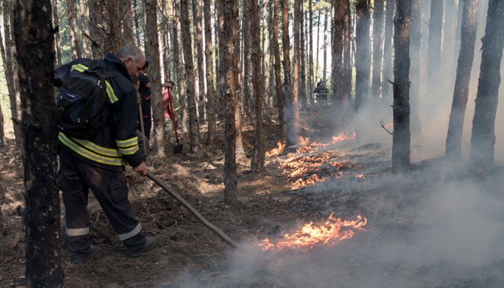 Няма нанесени щети Няма нанесени щети