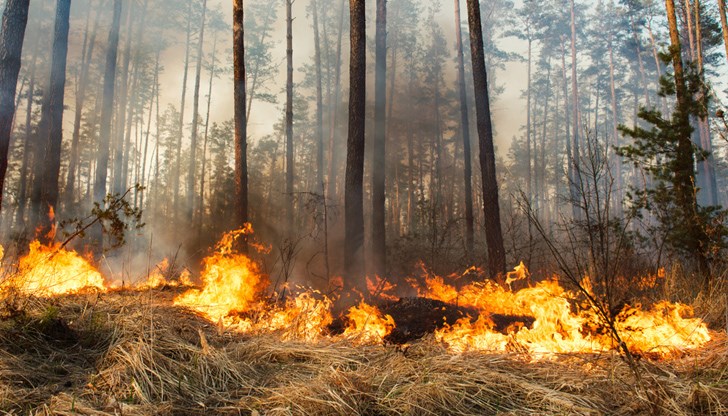 Пожарът в Сакар планина налага затварянето на участък край Свиленград