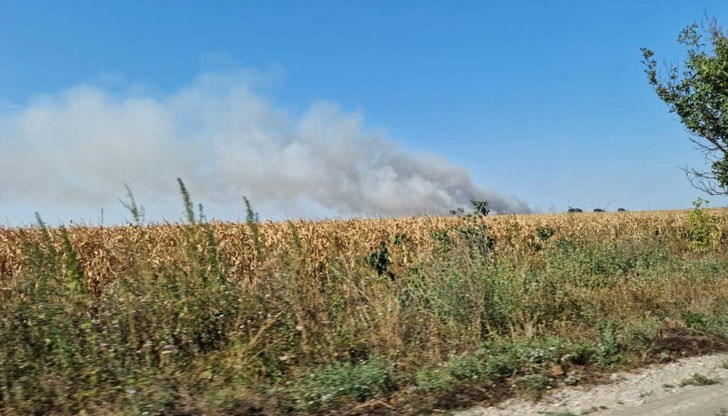 Експерти на РИОСВ - Русе ще извършат проверка на място и ще оценят състоянието на местообитанията след потушаването на пожара