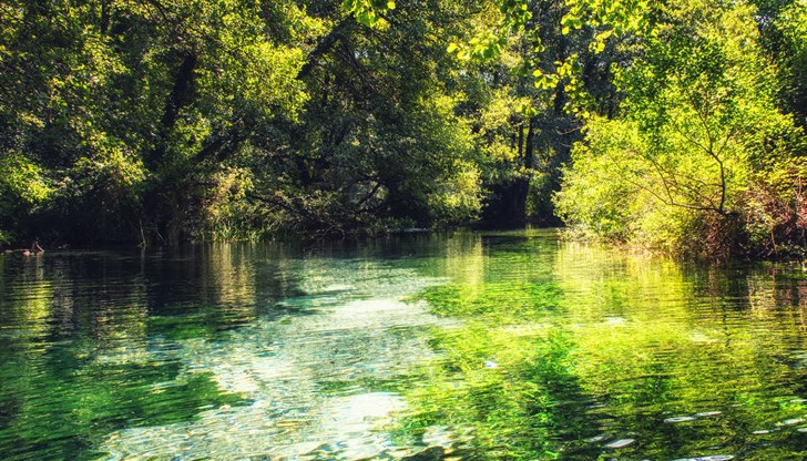 Спасени са петима души