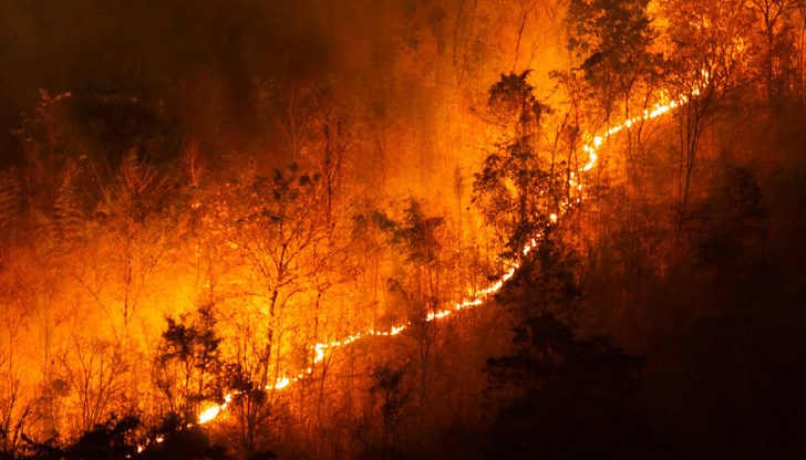 Властите не успяват да се справят с големия горски пожар в района на град Лимасол