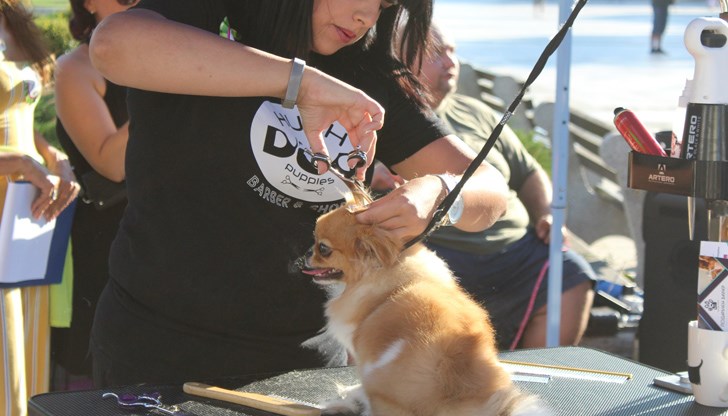 Русенци получиха ценни съвети за поддържане на външния вид на своите домашни любимци