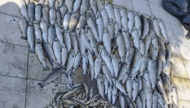 Контролните органи констатирали заустване на отпадъчни води с битово-фекален характер от канализацията на град Смолян