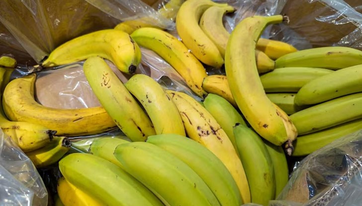 Скритият в кашони наркотик пристигнали от Еквадор Скритият в кашони наркотик пристигнали от Еквадор