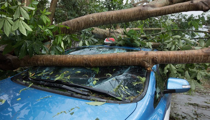 За изминалите две денонощия екипите на пожарната са реагирали на 5 сигнала /снимката е илюстративна/