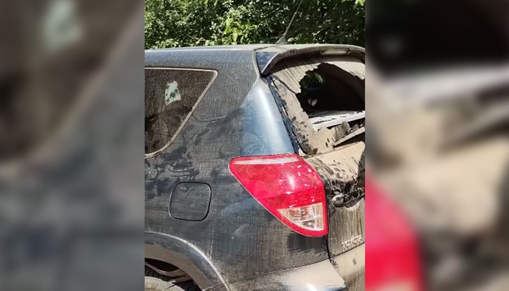 Жени са разбили стъклата на автомобила с надеждата, че ще спасят животните, но е било твърде късно