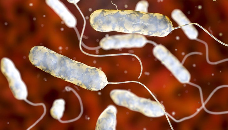 Повече от 100 души са инфектирани Повече от 100 души са инфектирани