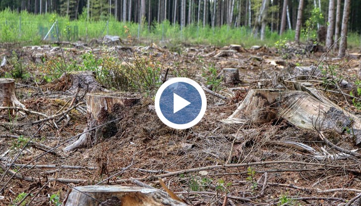 Какви са опасенията на жители на „Бояна“?
