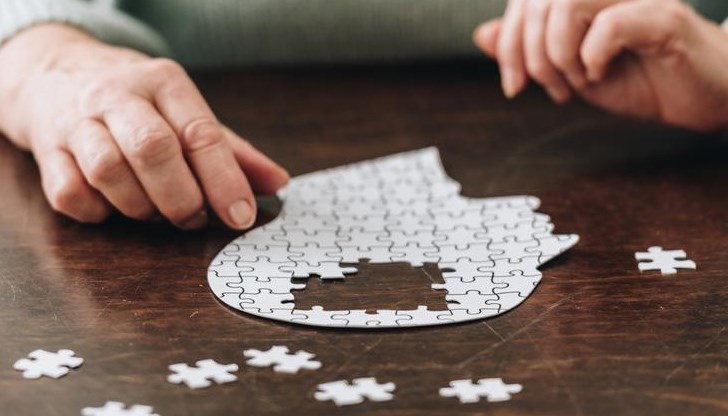 Мозъкът може да поправя увредената ДНК само в покой, тоест по време на сън