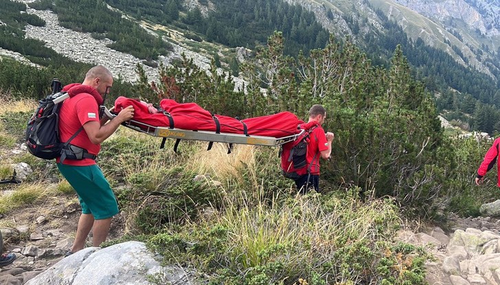 Планински спасители са се отзовали и са помогнали на ухапаното от насекомо момиче