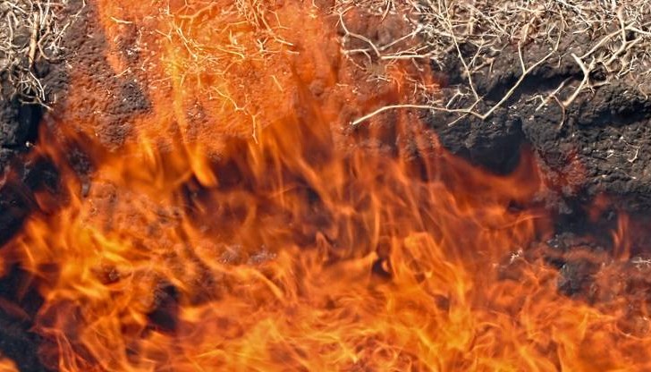 Машината е излетяла в 9:50 часа Машината е излетяла в 9:50 часа