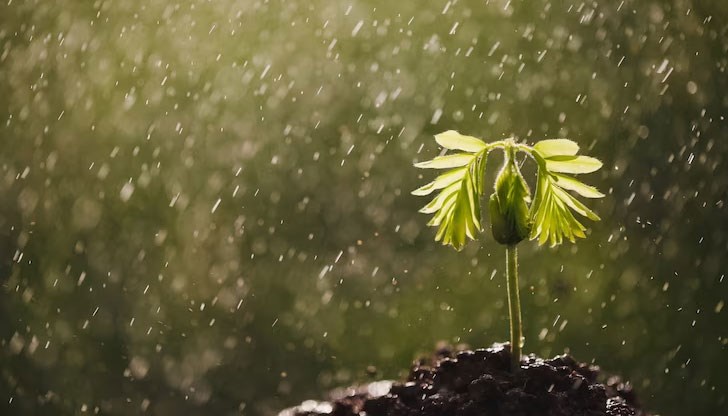 Максималните температури ще са предимно между 26° и 31° Максималните температури ще са предимно между 26° и 31°