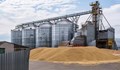Полша и Унгария искат ЕК да удължи забраната за внос на украинско зърно